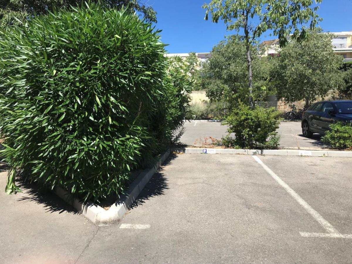 Apartment Les Terrasses Du Liouquet T2, Piscine , Parking , A 150 M